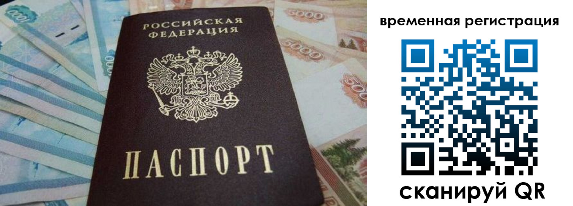 временная регистрация гарантия в Копейске